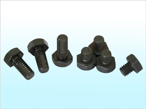 Oil Return Screw